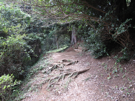 20161014hike (36)